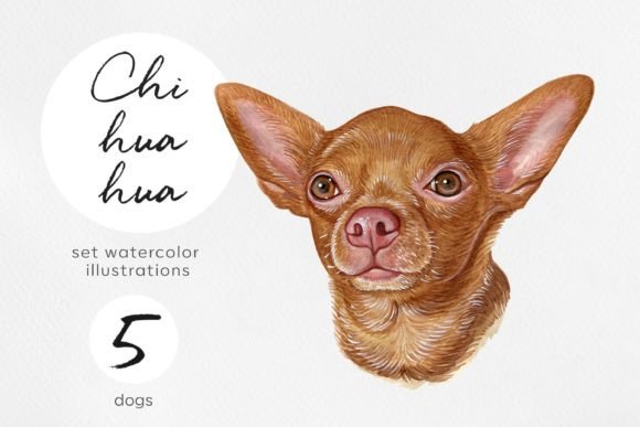 Download Watercolor 5 Chihuahua Dog Illustration - Dog illustration Collection